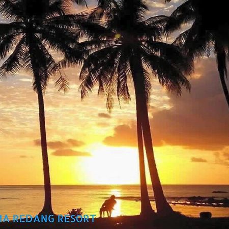 Delima Redang Resort Ngoại thất bức ảnh